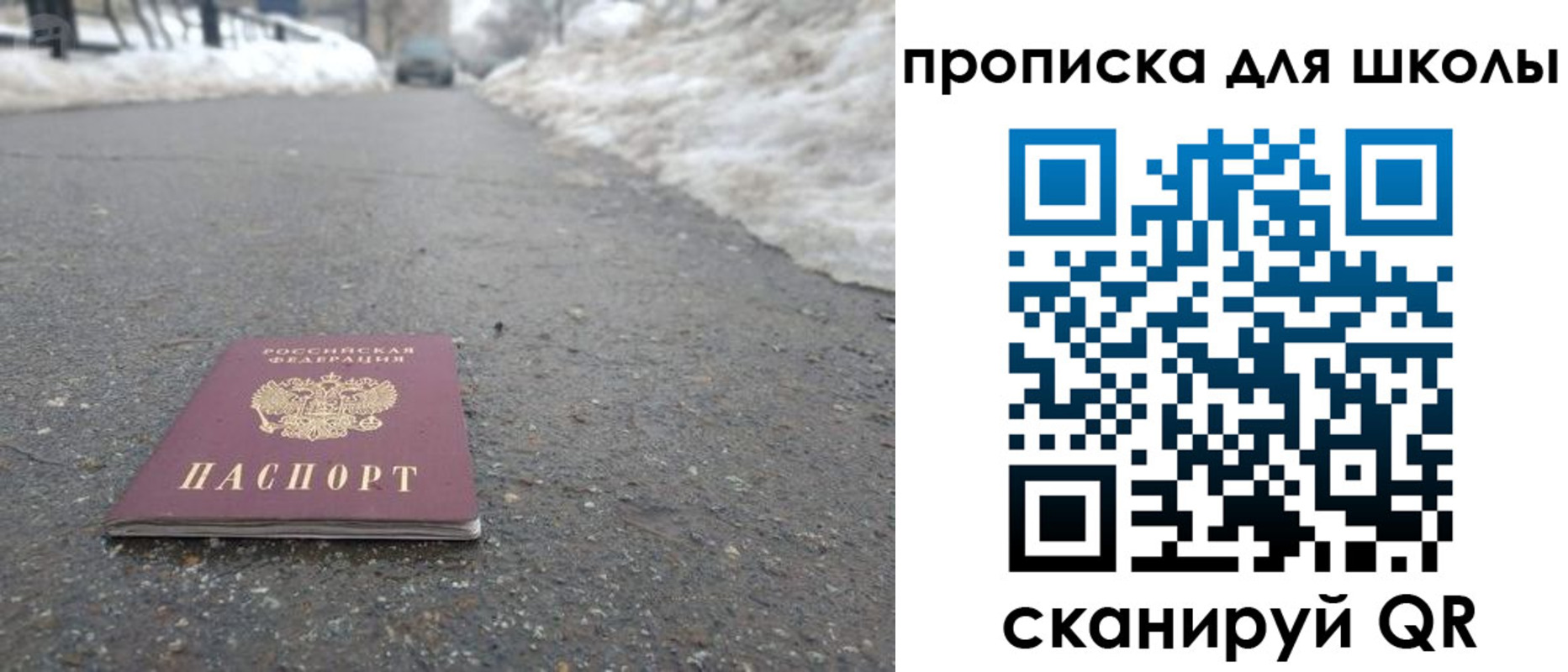 прописка для школы в Александровске